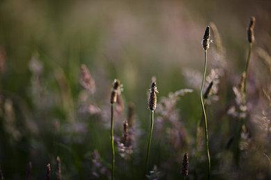 日本一社长视频庆祝《魔界战记》系列销售突破5百万部